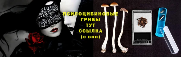мяу мяу мука Алексеевка