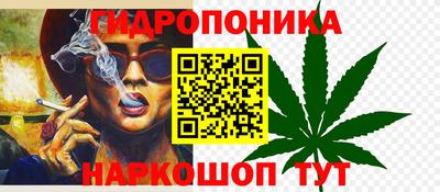 шишки Усть-Илимск